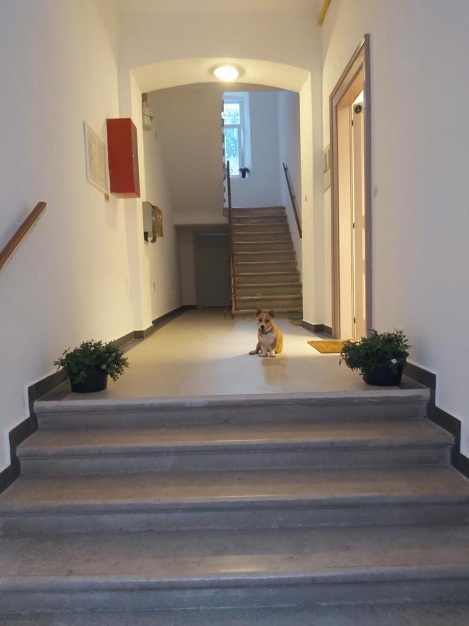 Apartman Draguc Pula Exterior foto